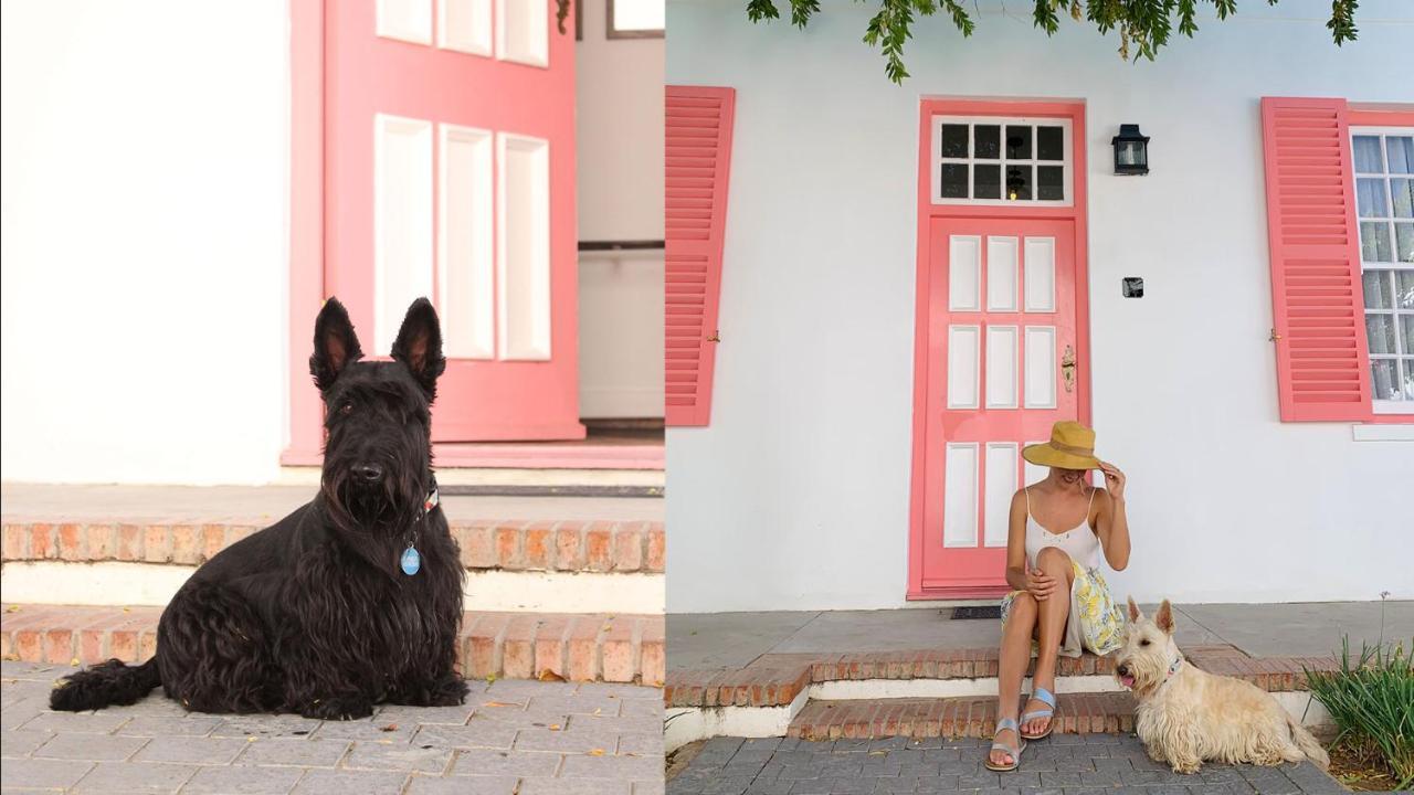 Drostdy Hotel Graaff Reinet Bagian luar foto Scottie dogs
